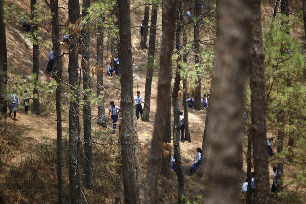 Abbraccio record agli alberi: in 2mila per la giornata mondiale dell'Ambiente
