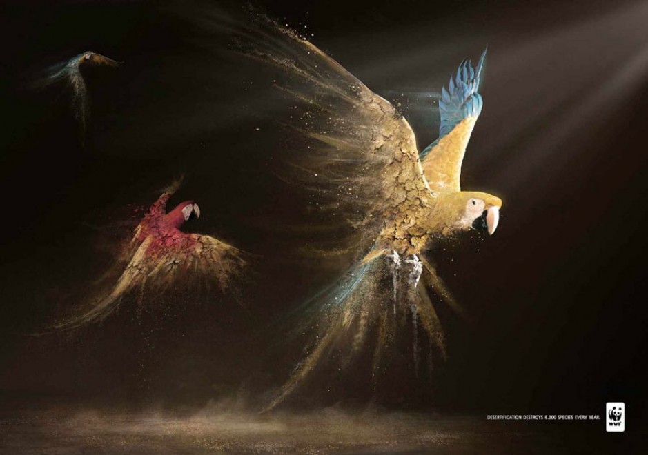 Pubblicit&agrave; in aiuto degli animali: una voce a chi non ce l'ha