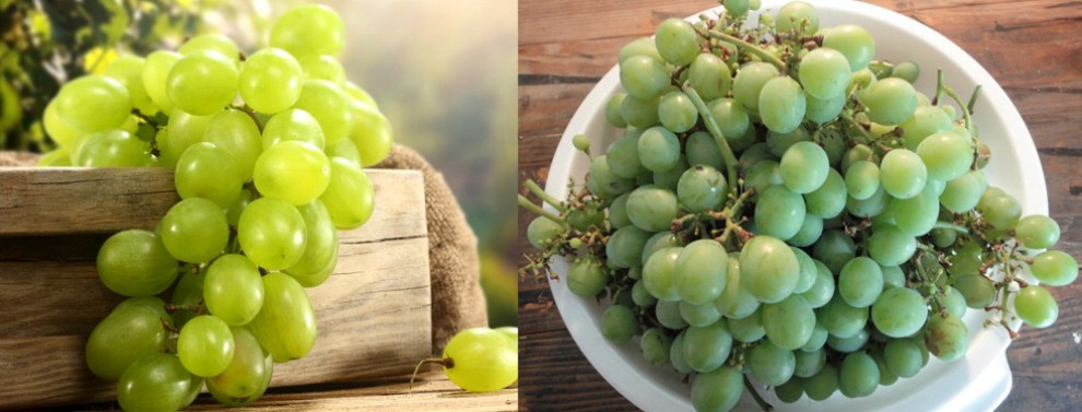 Shampoo nei cereali, lacca sulla frutta: i trucchi per conquistare i palati