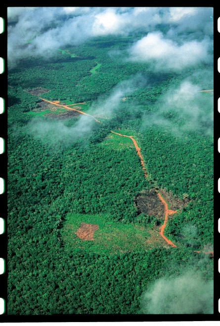 Non solo calcio. L'altro Brasile: viaggio in Amazzonia