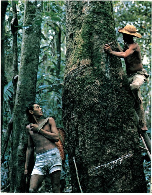 Non solo calcio. L'altro Brasile: viaggio in Amazzonia