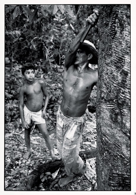 Non solo calcio. L'altro Brasile: viaggio in Amazzonia