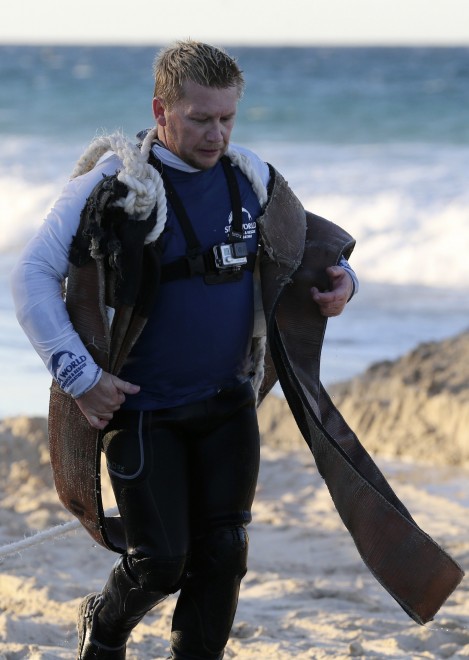 Australia, cucciolo di balena spiaggiato: la fotosequenza dei soccorsi