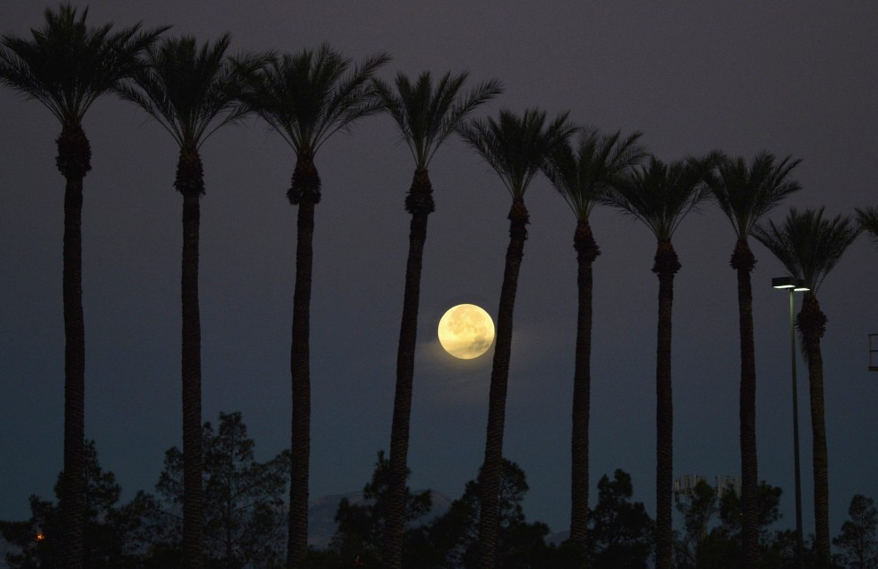 La meravigliosa notte della Superluna