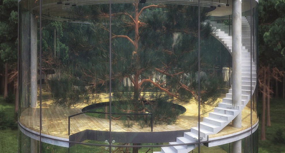 Kazakistan, la casa intorno all'albero: design nella foresta