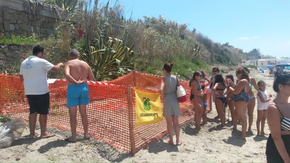 Salerno, sorpresa in spiaggia: tartaruga depone uova