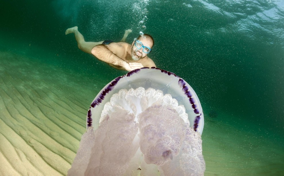 Sardegna, meduse giganti nelle acque della costa orientale