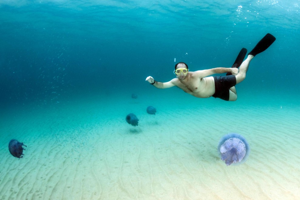 Sardegna, meduse giganti nelle acque della costa orientale