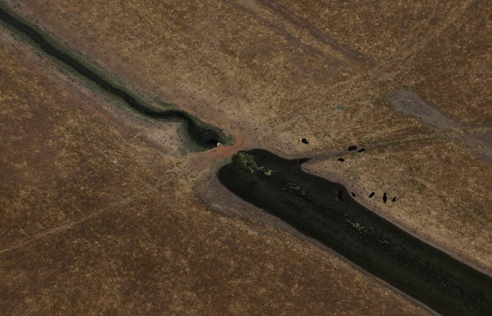 California, emegenza acqua: &egrave; la pi&ugrave; grave siccit&agrave; della storia