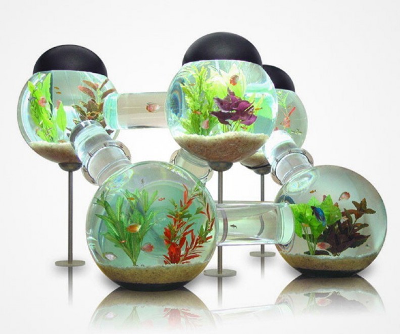 Design: gli acquari i pi&ugrave; stravaganti del mondo