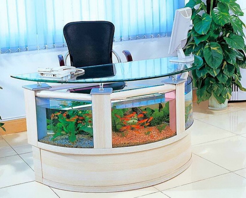 Design: gli acquari i pi&ugrave; stravaganti del mondo