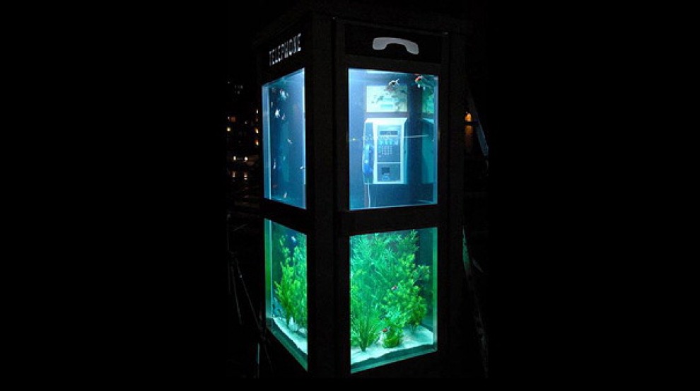 Design: gli acquari i pi&ugrave; stravaganti del mondo