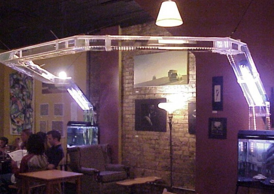 Design: gli acquari i pi&ugrave; stravaganti del mondo