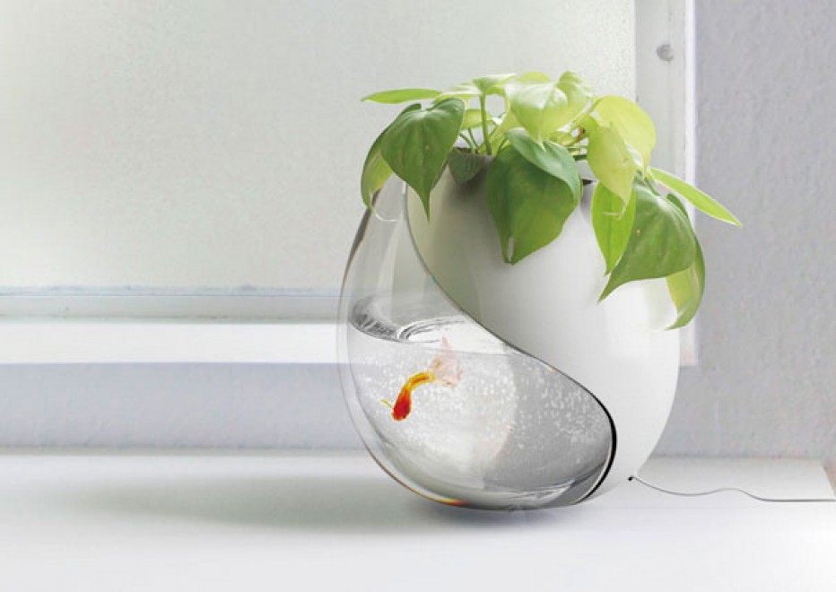 Design: gli acquari i pi&ugrave; stravaganti del mondo
