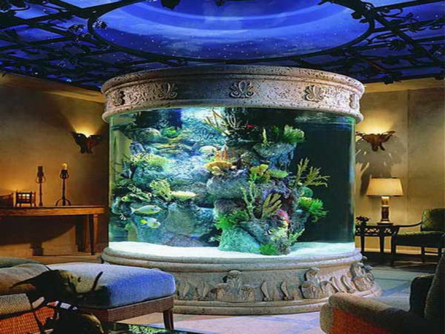 Design: gli acquari i pi&ugrave; stravaganti del mondo