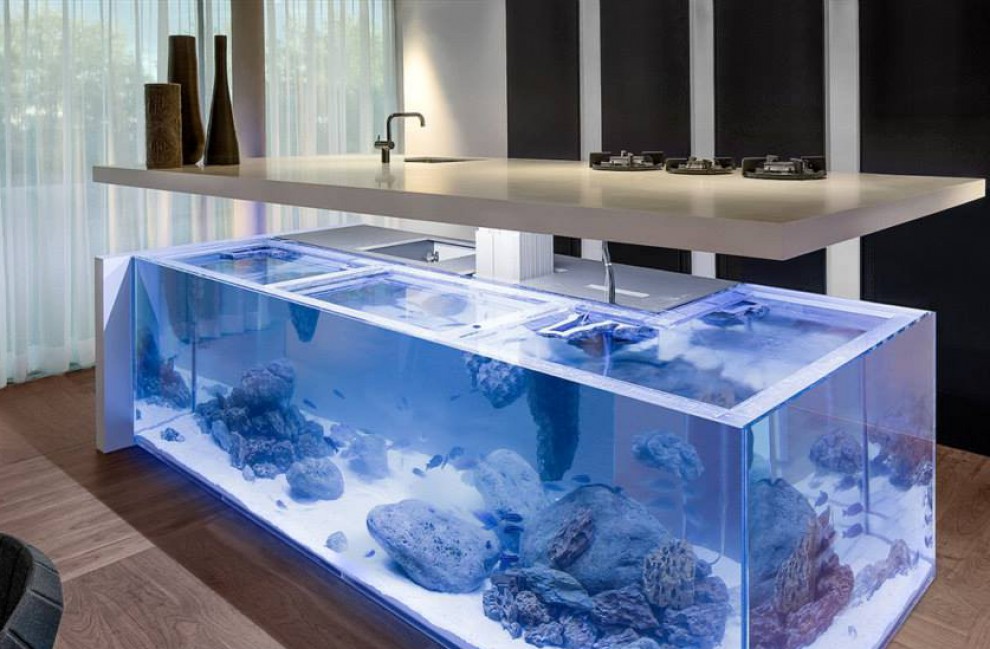 Design: gli acquari i pi&ugrave; stravaganti del mondo