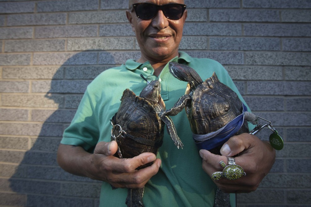 New York: a passeggio per Manhattan con le tartarughe