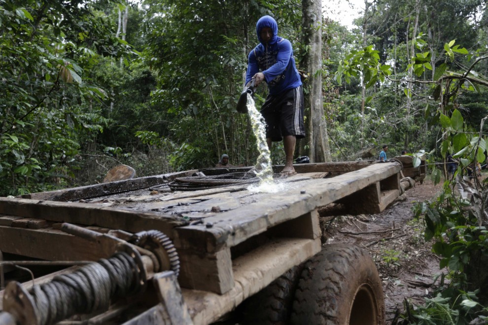 Brasile, i guerrieri dell'Amazzonia contro il disboscamento
