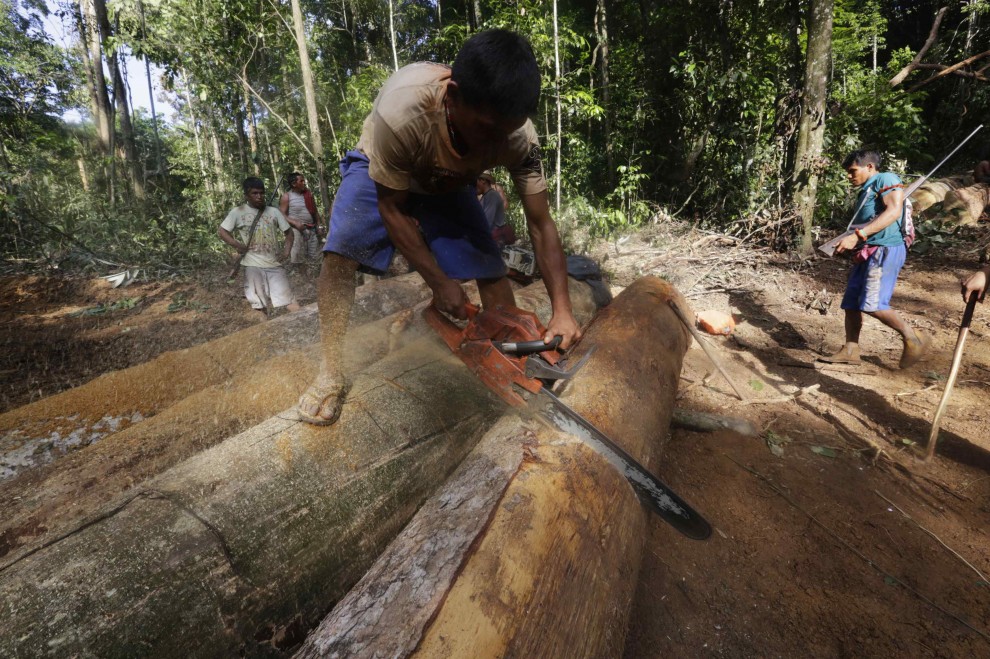 Brasile, i guerrieri dell'Amazzonia contro il disboscamento
