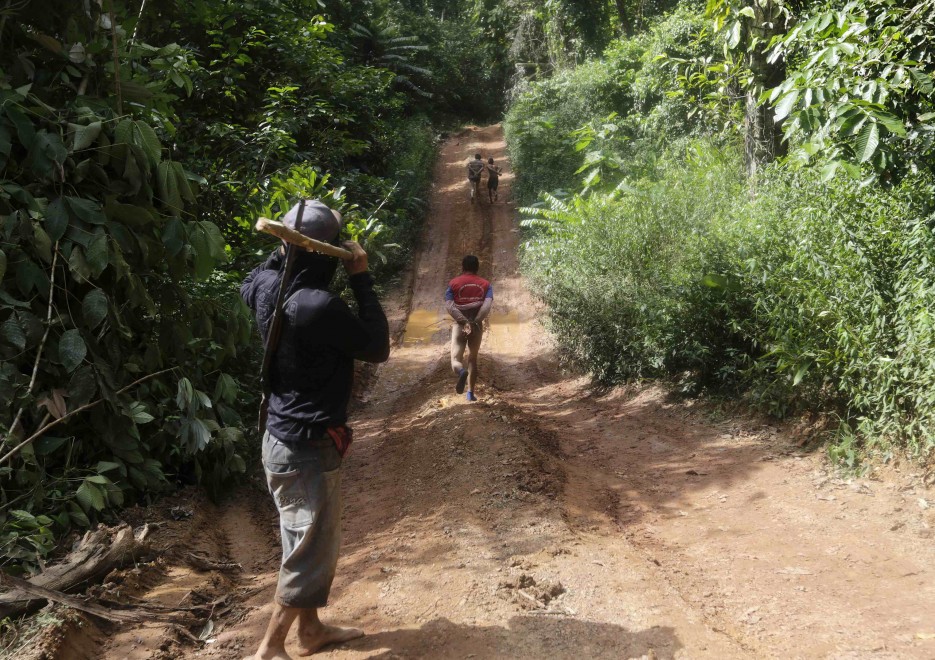 Brasile, i guerrieri dell'Amazzonia contro il disboscamento
