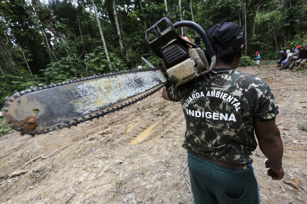 Brasile, i guerrieri dell'Amazzonia contro il disboscamento