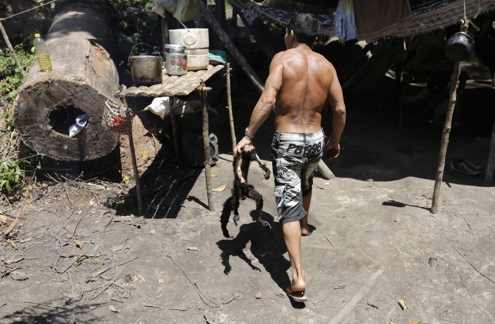 Brasile, i guerrieri dell'Amazzonia contro il disboscamento