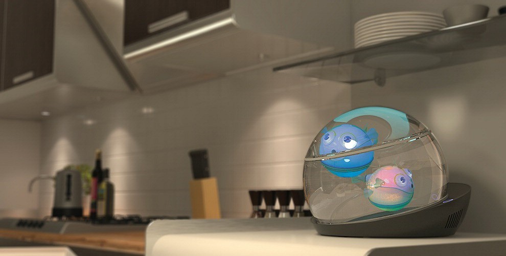 Pesci robot dentro "Capsule", l&rsquo;acquario hi-tech&nbsp;