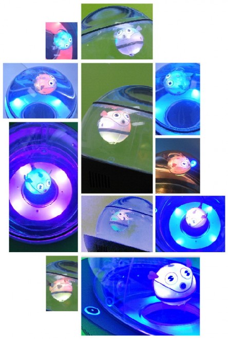 Pesci robot dentro "Capsule", l&rsquo;acquario hi-tech&nbsp;