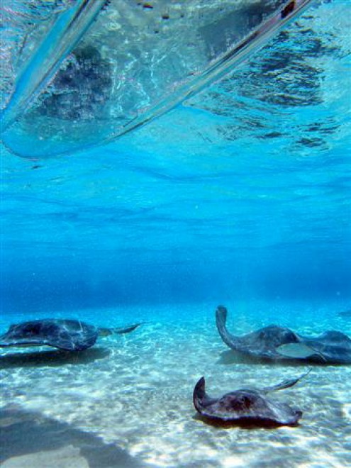 Remare col fondale a vista: il kayak &egrave; trasparente