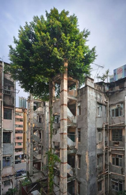 Da Hong Kong a Sorrento: quando la natura si ribella