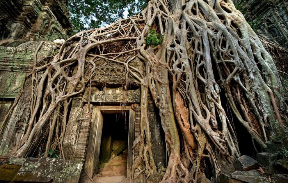Da Hong Kong a Sorrento: quando la natura si ribella