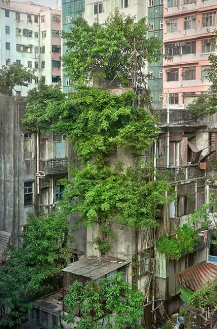 Da Hong Kong a Sorrento: quando la natura si ribella