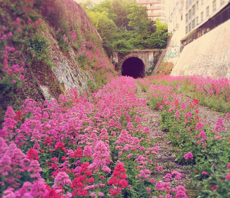 Da Hong Kong a Sorrento: quando la natura si ribella