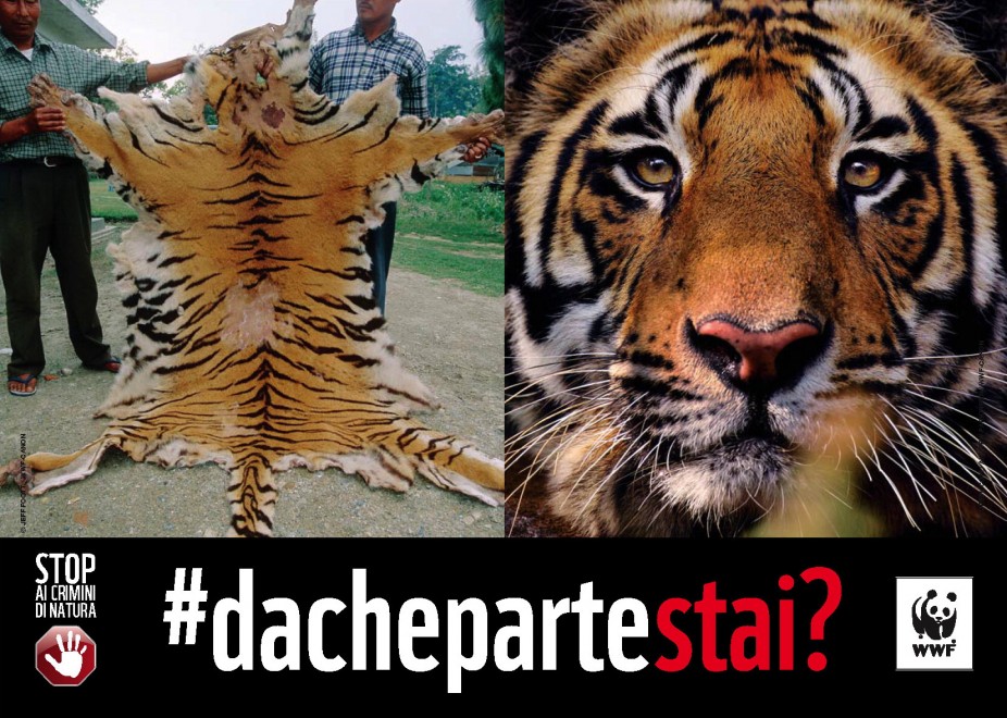  dachepartestai La Campagna Del Wwf Contro I Crimini Di Natura La