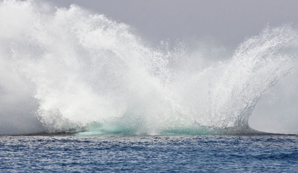 La forza e lo splendore, il salto della balenottera &egrave; uno spettacolo