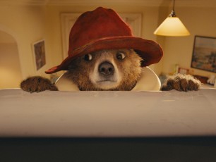 Paddington, 58 anni di libri e ora arriva il film. Tutto è iniziato da un peluche solo su uno scaffale