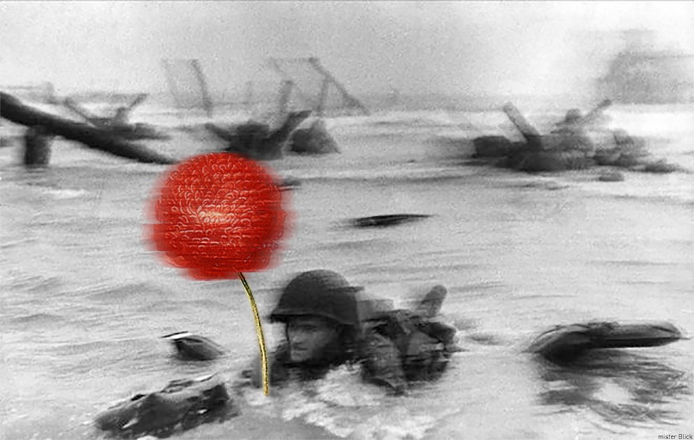 Mettete Dei Fiori Nei Vostri Cannoni Wikipedia