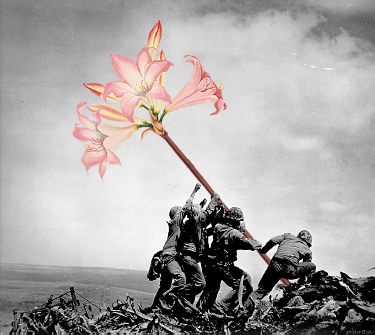 Mettete Dei Fiori Nei Vostri Cannoni Wikipedia