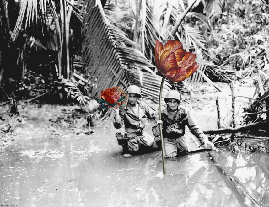 Mettete Dei Fiori Nei Vostri Cannoni Wikipedia