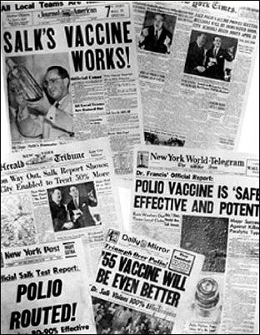 100&deg; anniversario della nascita di Jonas Salk: il doodle di Google