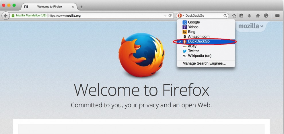 Buon compleanno Firefox, 10 anni da browser