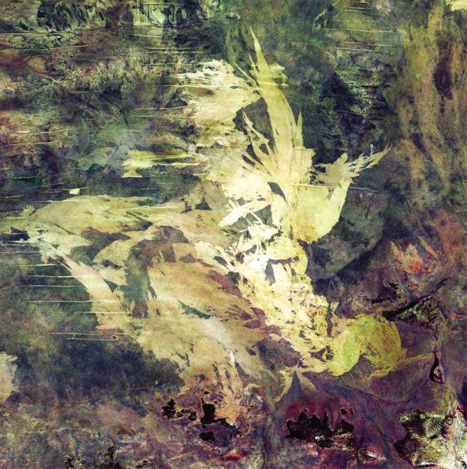 Paradisi terrestri da conservare, parchi e riserve visti dai satelliti
