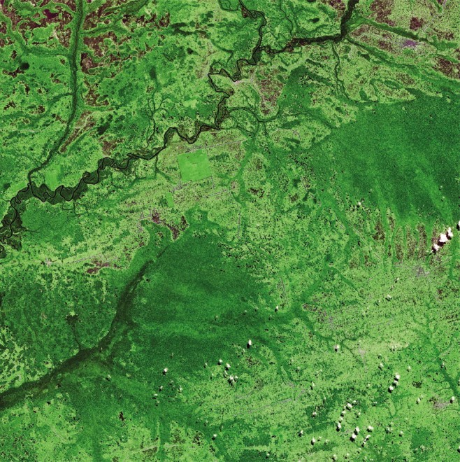 Paradisi terrestri da conservare, parchi e riserve visti dai satelliti