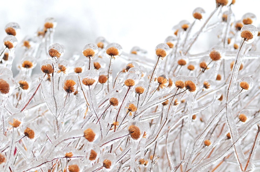 Quando ghiaccio e neve creano opere d'arte