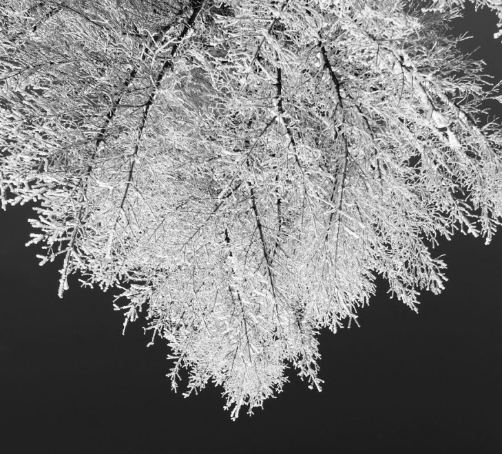 Quando ghiaccio e neve creano opere d'arte