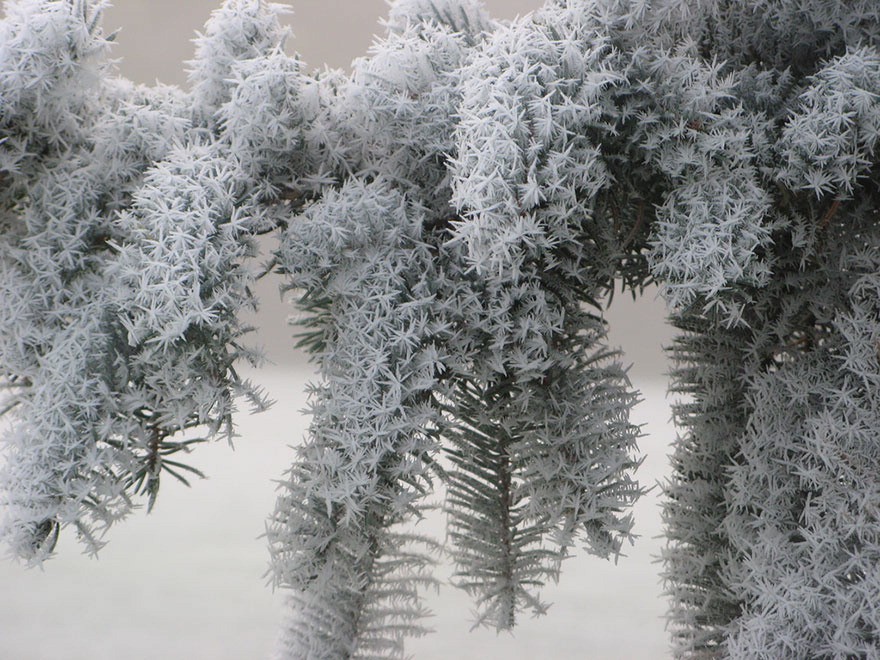 Quando ghiaccio e neve creano opere d'arte