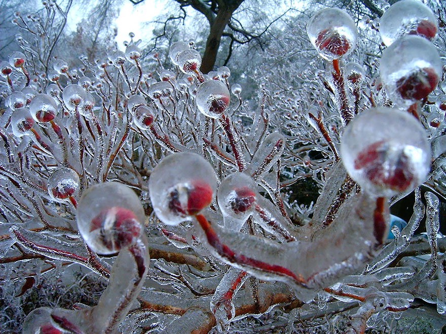 Quando ghiaccio e neve creano opere d'arte