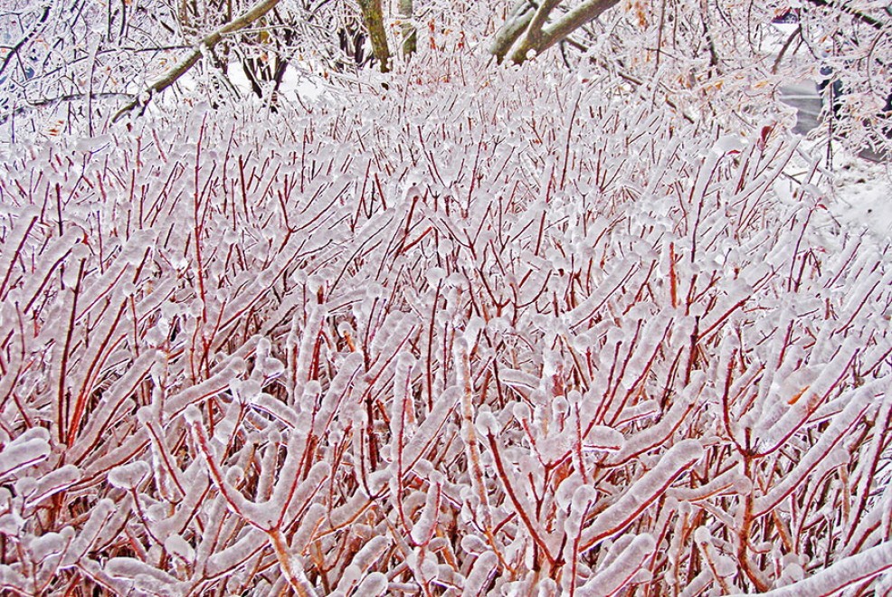 Quando ghiaccio e neve creano opere d'arte