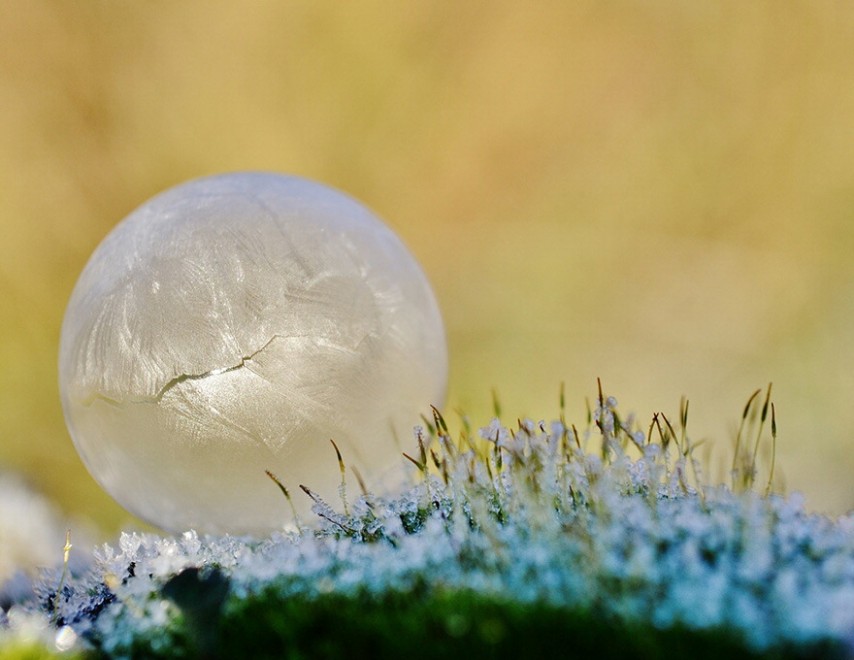 Quando ghiaccio e neve creano opere d'arte