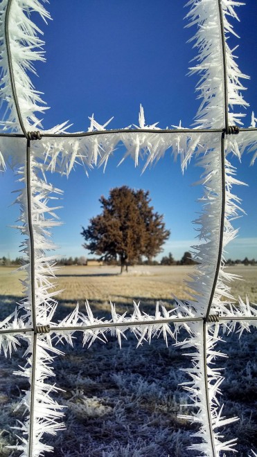 Quando ghiaccio e neve creano opere d'arte